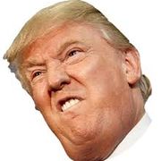 TheDonald45