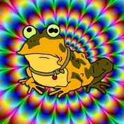 toadlips