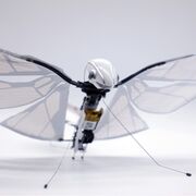 Optimusfly