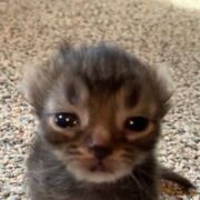 Exciting_Passenger69