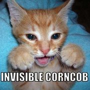 Invisible Corncob