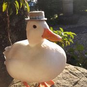 OkDrDuck