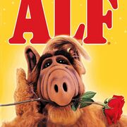 IAmAlf