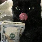 easyozcity22