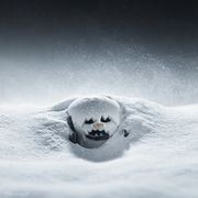 wampa
