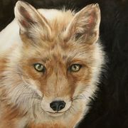 Fox_Hunt