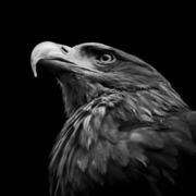 Hypnos05
