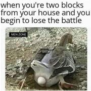7894657895