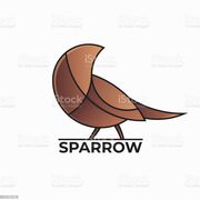 Ace_sparrow