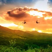 ZipLine69