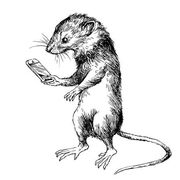 ratyrat