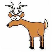 wapiti94