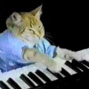 CatPianist123