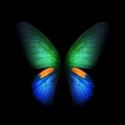 asiahunter22
