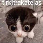 teequila69