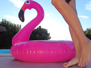 alissa foxy my friend flamingo backstage