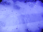 Hentaied Jia Lissa Rae Lil Black link in description