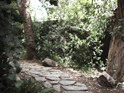 PureTaboo.22.08.16.Haley.Reed.And.Penny.Barber.We.Warne 2