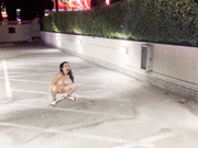 Nicole Niagara caught totally nude in public fountain