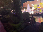 Nicole Niagara caught totally nude in public fountain