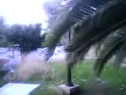 Greek Fuck In The Park