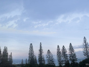 Lacy Lennon in Paradise