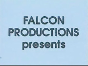 Leanne lovelace falcon