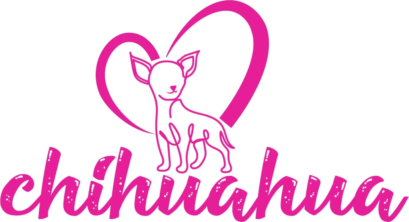 Chihuahua ostre ruchanie