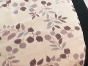 Asian Sofia Silk OF sucking and fucking