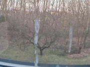 TS J3nn1f3rC0rr3ia cumtagging the counter