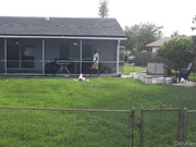 tribal bbc new scene