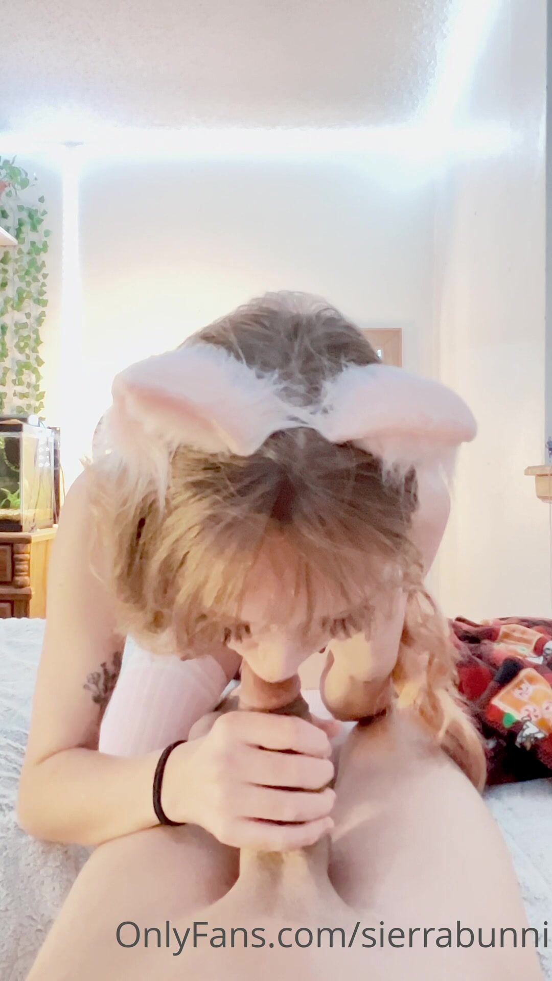 Sierrabunni