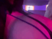 Foxy Menagerie Verre 10