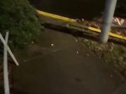 Lexi Rose wants to fuck in a walk