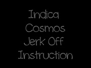 Indica Cosmos Jerk Off Instructions