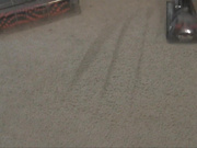 Mandy meando la alfombra