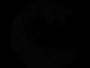 Missnoir Sex on the Beach Private