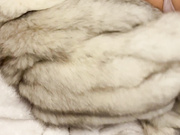 francisandalessia 57