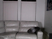 Katsatease 2023-11-14(2) MILF in Dress Stockings & Heel