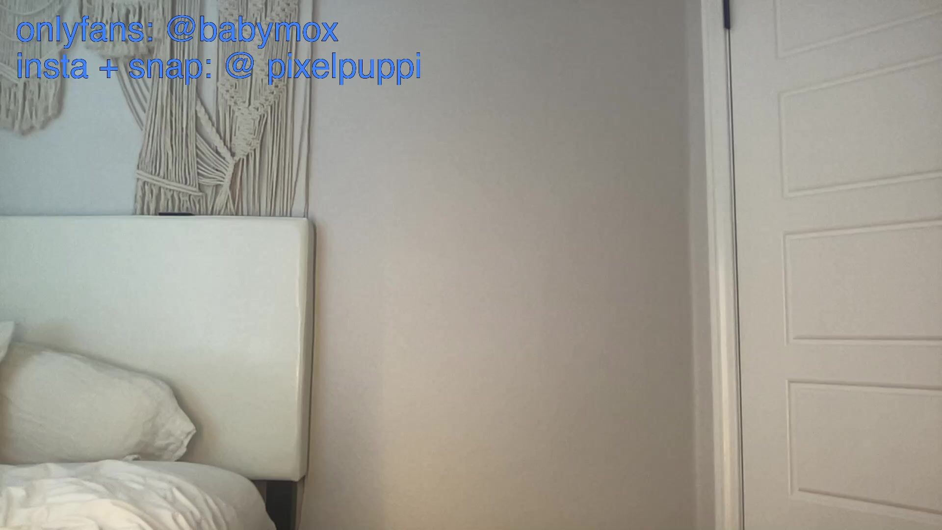 Pixelpuppi 11112023
