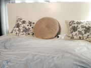 FerreraLAevi grupa anal