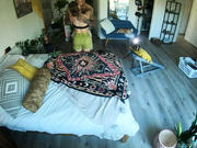 Nicole Aniston - Fucked By Joseph Depp