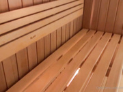 Hot Sauna Session with Lena Polanski