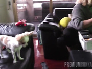 nicole love bukkake bts