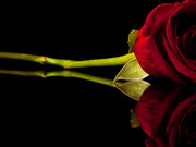 Cielo 210512 2030 Riding