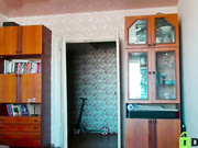 alicia_savory 2024-05-20