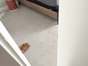 Kellykay onlyfans morning sextape