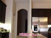 Kitchen Counter Ride