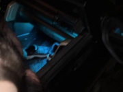 Oana Oanii suck and fuck in the car