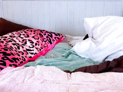 dawnwillow 2024-07-31 10_10